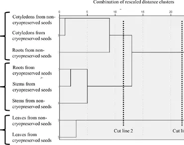 Cryoconservation, Hierarchical cluster analysis, Liquid nitrogen exposure, Multivariate analysis, n                     Phaseolus vulgaris L