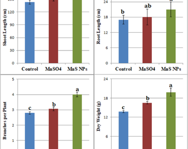 SOD, POD, Antioxidants, FT-IR, GC-MS, NMR