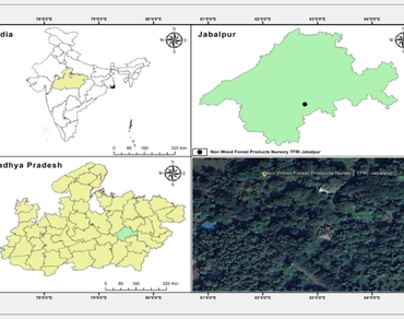 Influence of different pre-sowing seed treatments on the germination and growth performance of Abutilon indicum Linn.