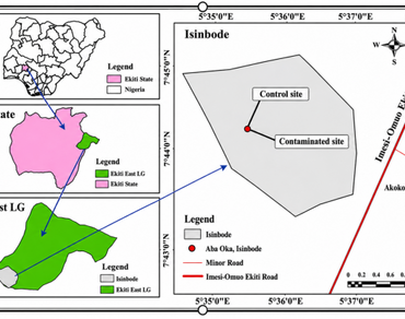 Phytoremediation of palm oil mill effluent contaminated soils using three potential plants