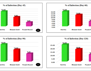 Arbuscular mycorrhiza, n                     Azospirillumn                  , Brinjal, Plant microbe interactions, Root colonization, Yield