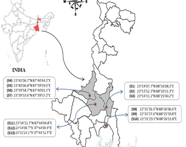 Assessment of microalgal diversity and physicochemical characteristics in tropical wetlands of West Bengal, India
