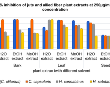 Comparative phytochemical profiling, antioxidant, and antibacterial activities of jute (Corchorus spp.), kenaf (Hibiscus cannabinus), and mesta (Hibiscus sabdariffa) using different extraction systems