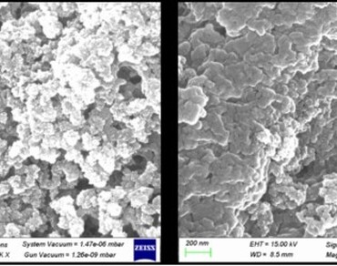 Zinc oxide nanoparticles, Radish extract, Seed priming, Nanofertilizer