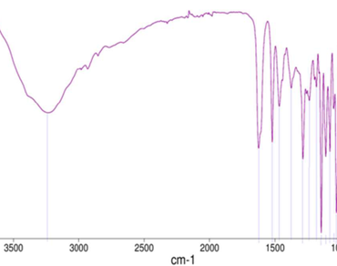 Isolation and characterization of rutin from the bark of Elaeagnus kologa Schlecht and integrated in vitro–in silico evaluation of its anti-proliferative activity