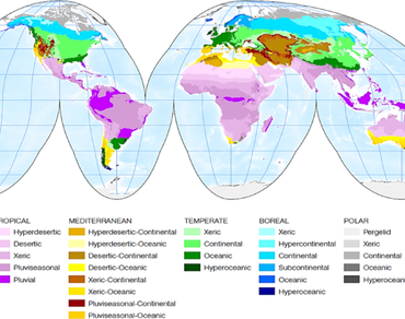 Climate resilience, Climate adaptation, Drought, Mediterranean Basin, Urban green spaces, Xerophytic vegetation