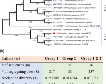 Methanotrophs, 16S rRNA sequencing, RNA secondary structure, Motif enrichment