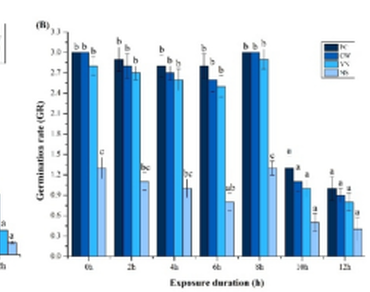 Microwave radiation, n                     Capsicum annuumn                  , ?-1,3-Glucanase, Germination, Specific absorption rate